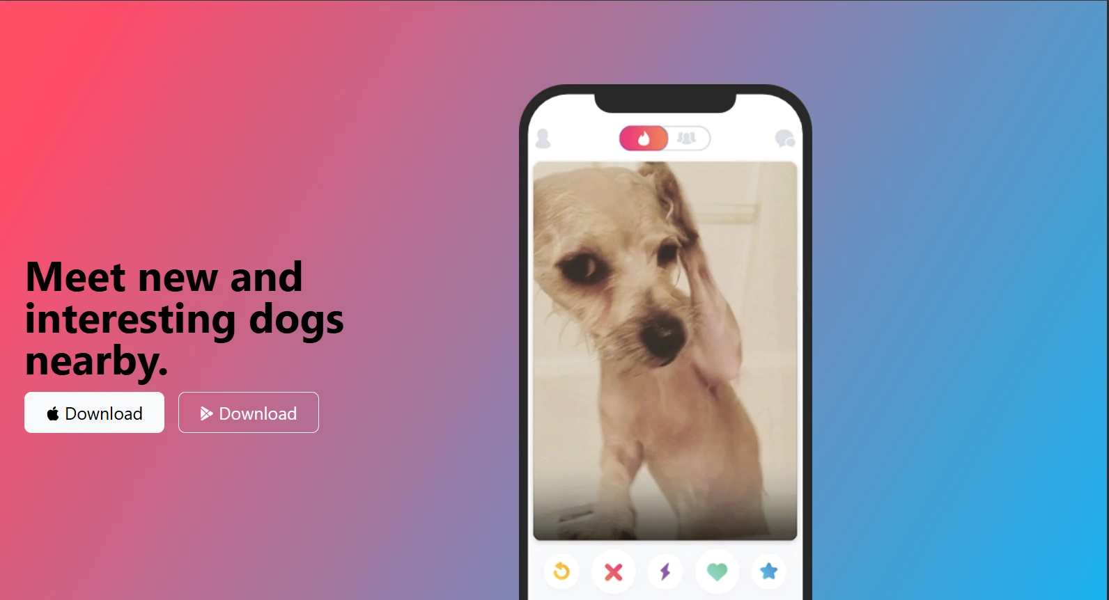 tin dog website preview image
